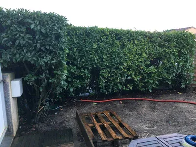 Panneaux en bois pour claustra Eysines