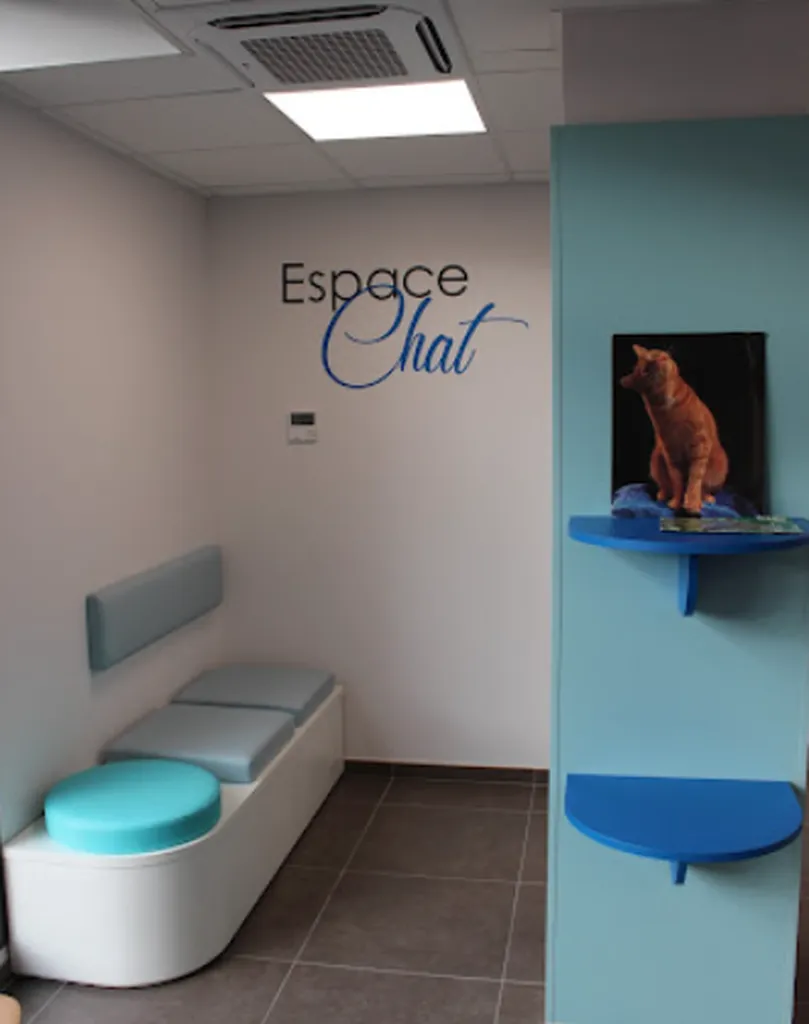 Création d'une clinique vétérinaire à saint georges de reneins rhone