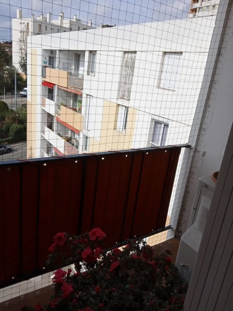 filet contre les pigeons miramas