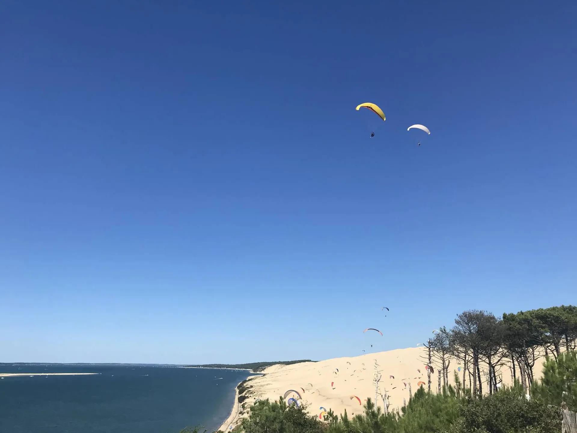 Balade en bateau entre amis, sur le bassin d'Arcachon - Arcachon / Pyla / Cap Ferret