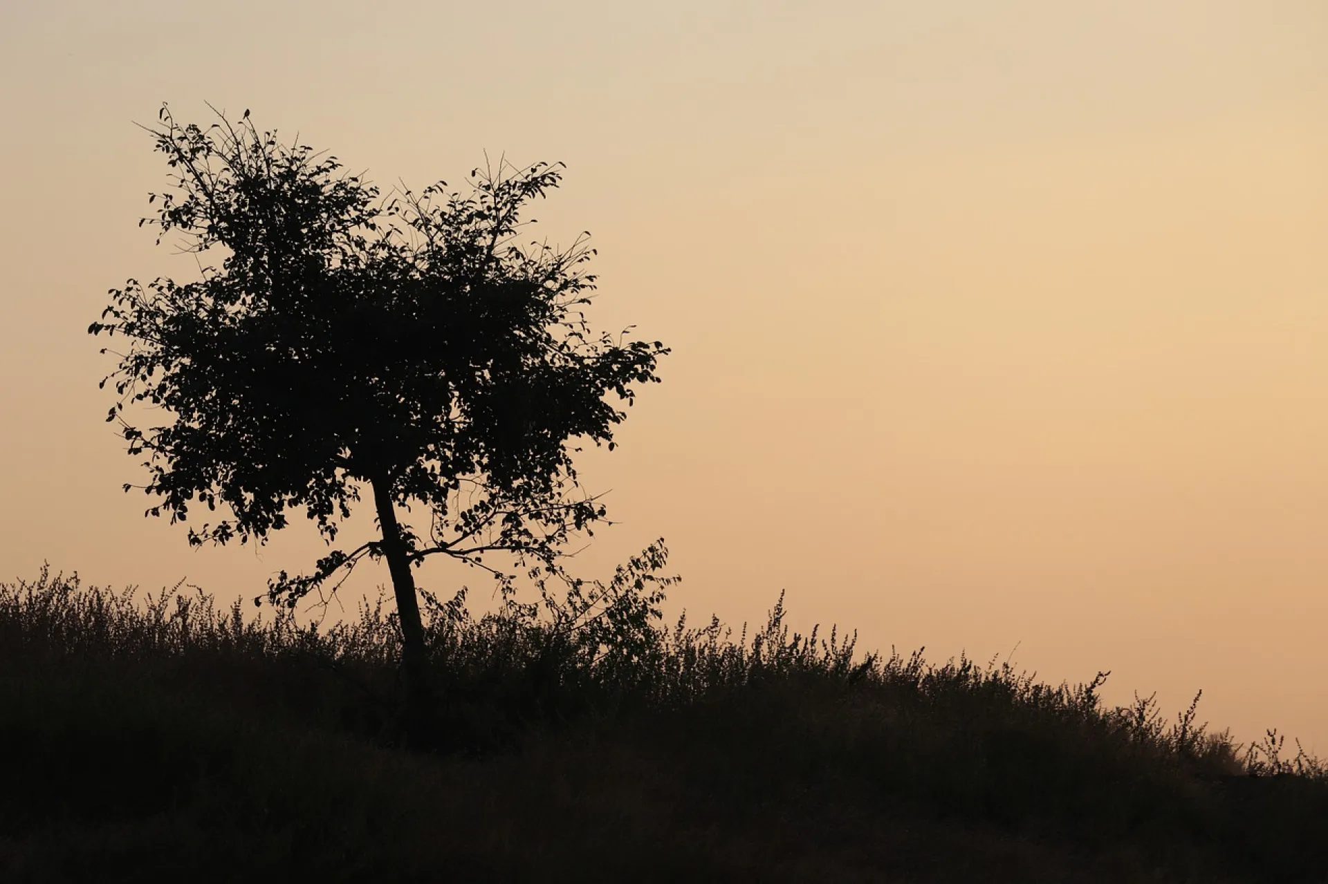 Psychologue à Paris 8 (75008) : Consultation pour Stress et Anxiété chez Adolescent et Adulte 75017 75009 75008 