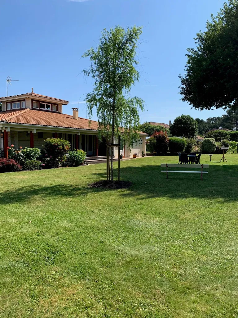 Trouver le meilleur tarif pour la tonte de votre pelouse aux alentours d’Arcachon