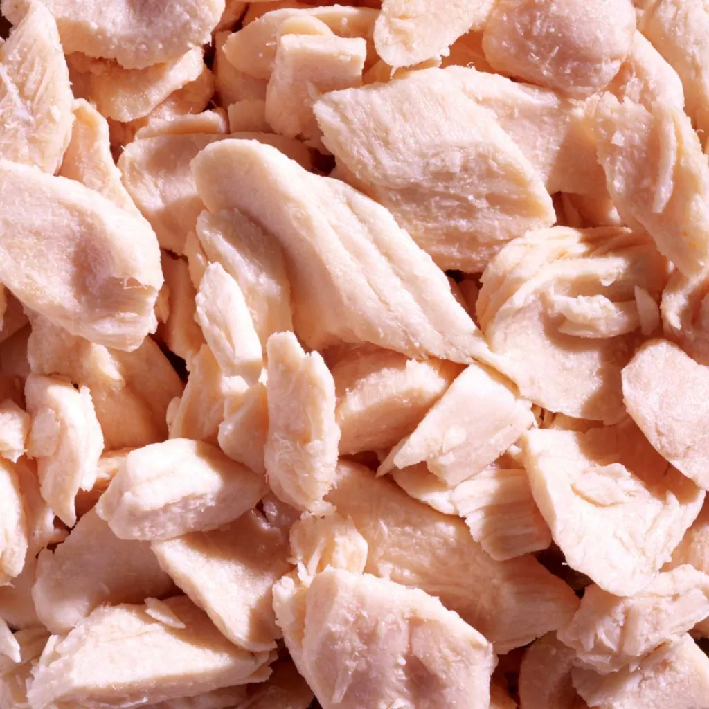 photographe pour l'industrie agroalimentaire close-up macro ingrédient morceaux de saumon