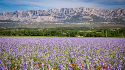 Hôtel 3 Étoiles à 15 min de la Gare TGV Aix-en-Provence : Chambres confortables pour une étape pratique