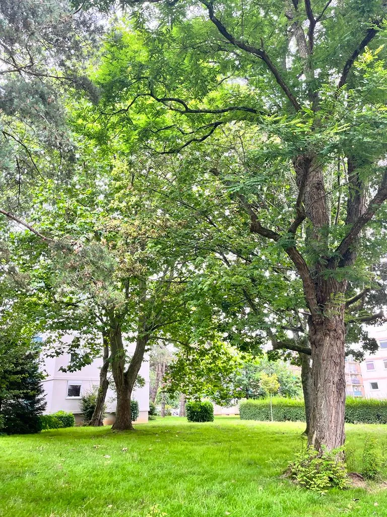 Appartement en location de 54,26m², situé Parc du Cailly à Mont-Saint-Aignan, 736€ charges comprises