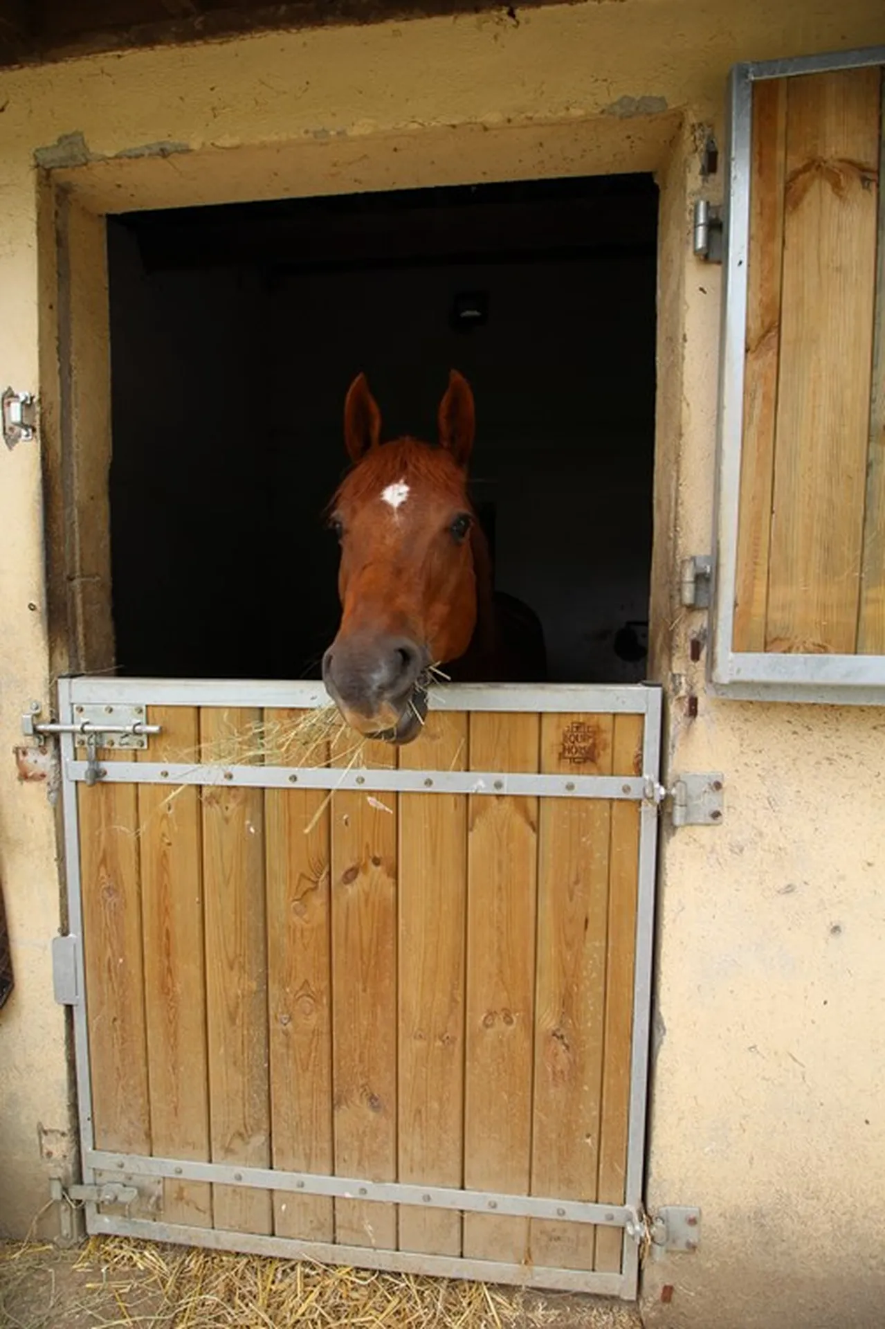 Terres et Demeures de Normandie vous invite à venir visiter cette propriété équestre en Normandie