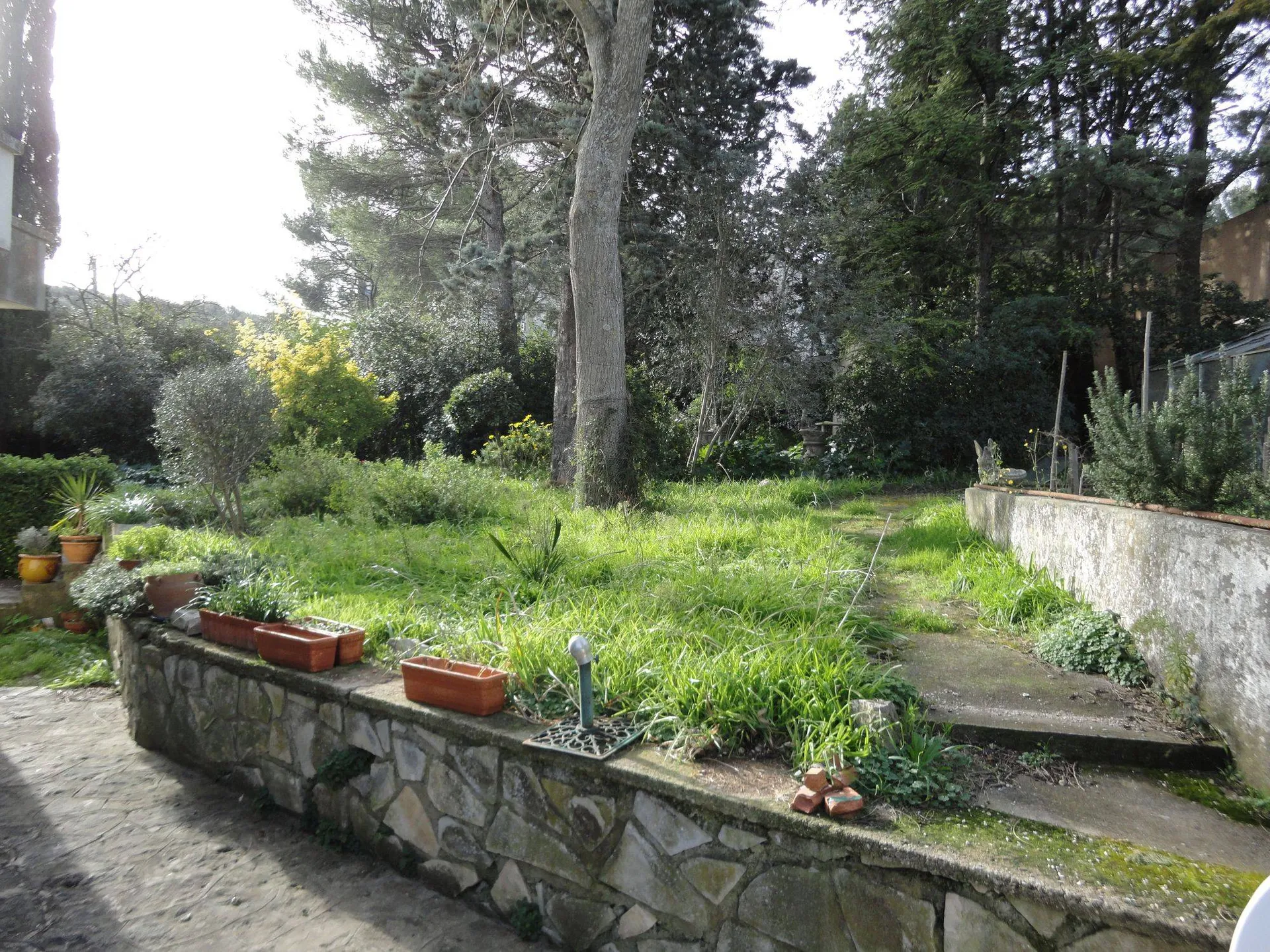 Maison à toit plat en vente sur carnoux