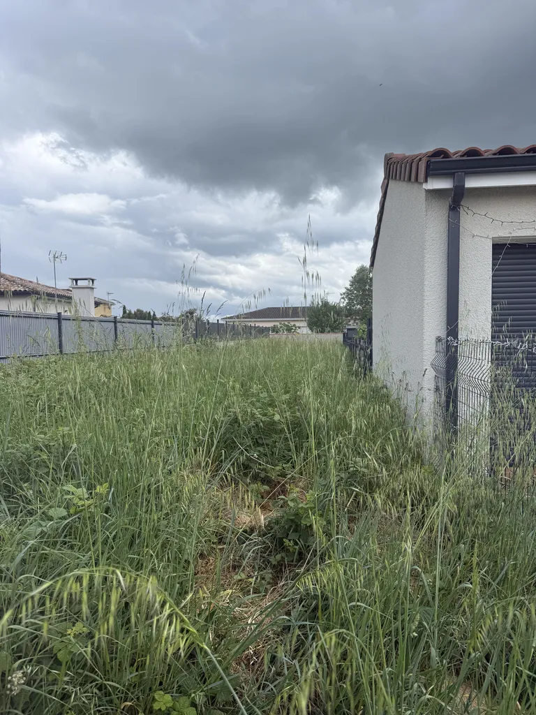 Débroussaillage complet de deux parcelles pour promoteur et constructeur immobilier proche de Toulouse sur une surface totale de 285 m²