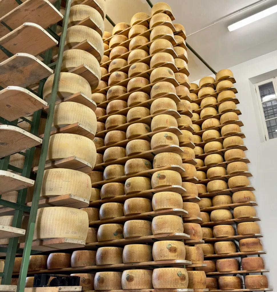 Des fromages bio et du lait bio et équitable pour grossistes et enseignes spécialisées