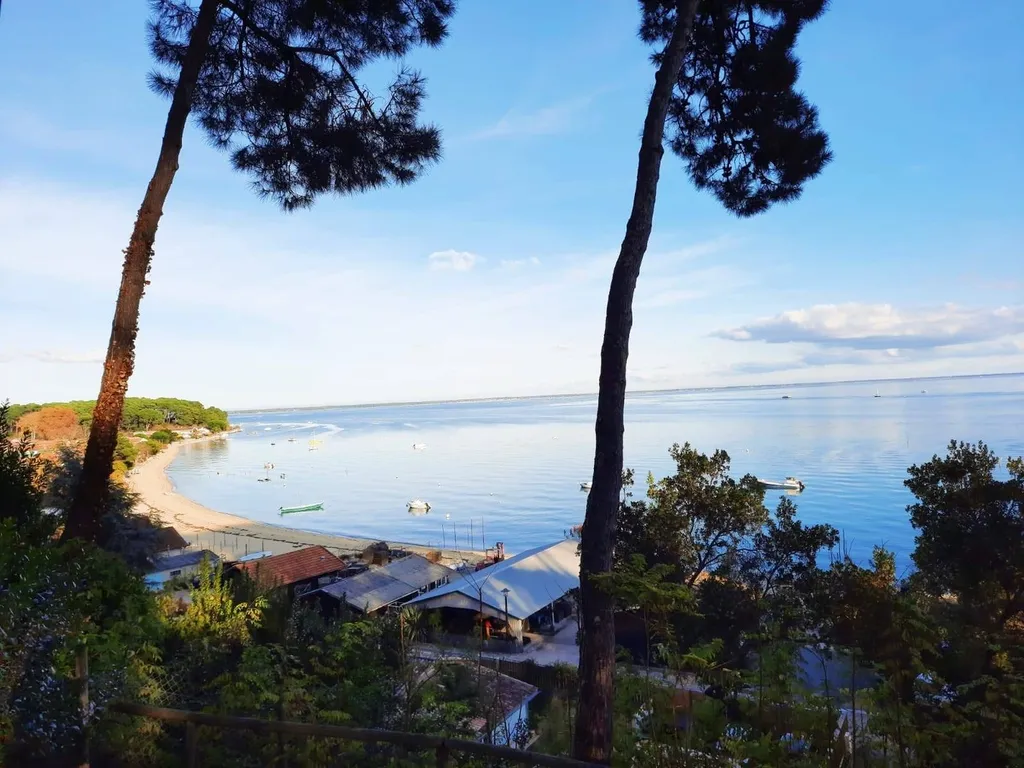 Week-end du 11 novembre sur le bassin d'Arcachon !