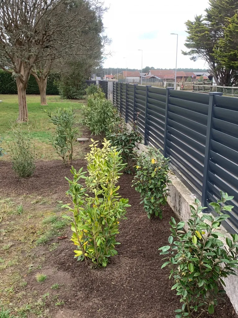 Trouver une entreprise pour la plantation de haie libre à Mimizan