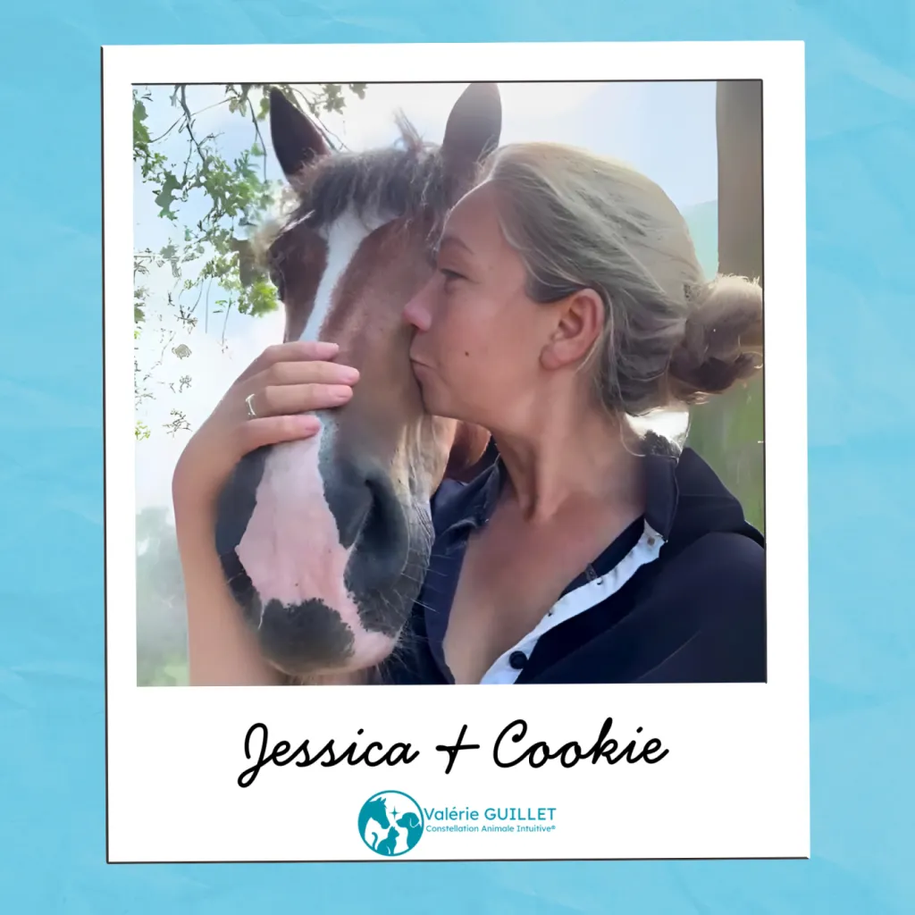 12 ans de recherches pour comprendre Cookie