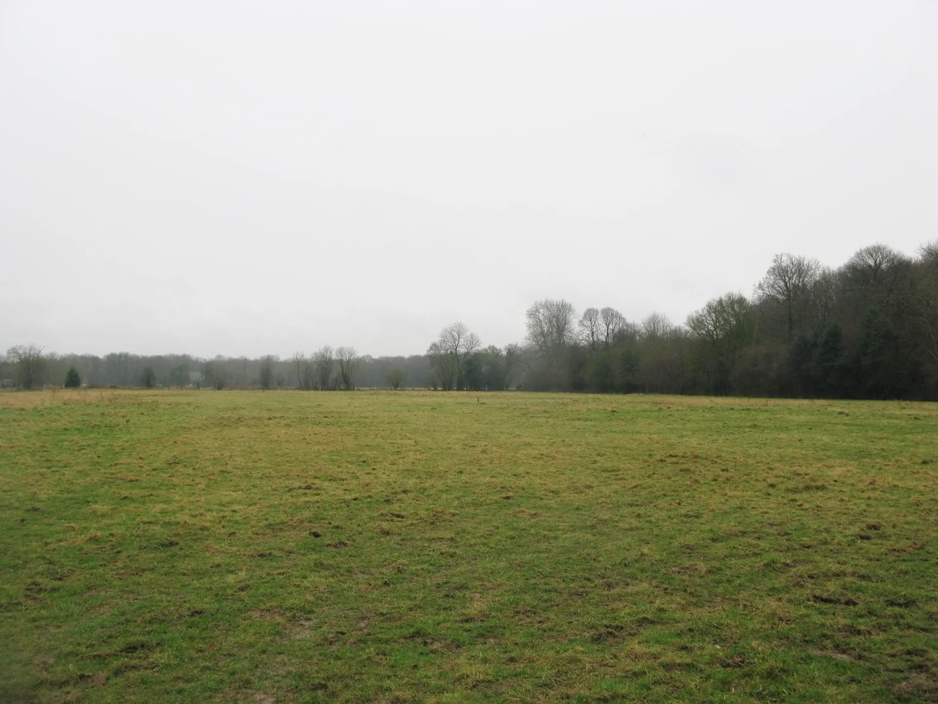 HARAS D'ELEVAGE A VENDRE PROCHE LISIEUX, CALVADOS 14