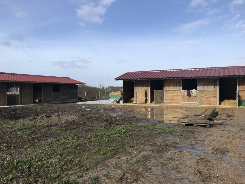 Pension chevaux et écurie active en gironde