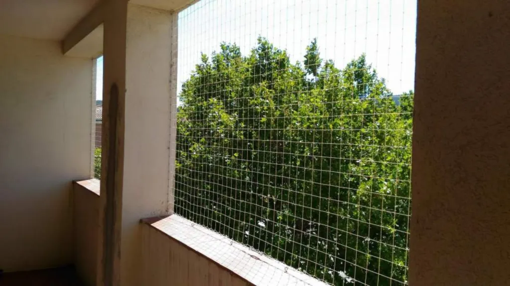 anti pigeon filet pic cuges les pins 13780