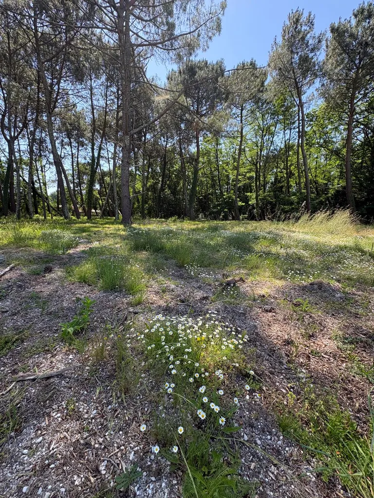 Terrain sur Saint Aubin de médoc