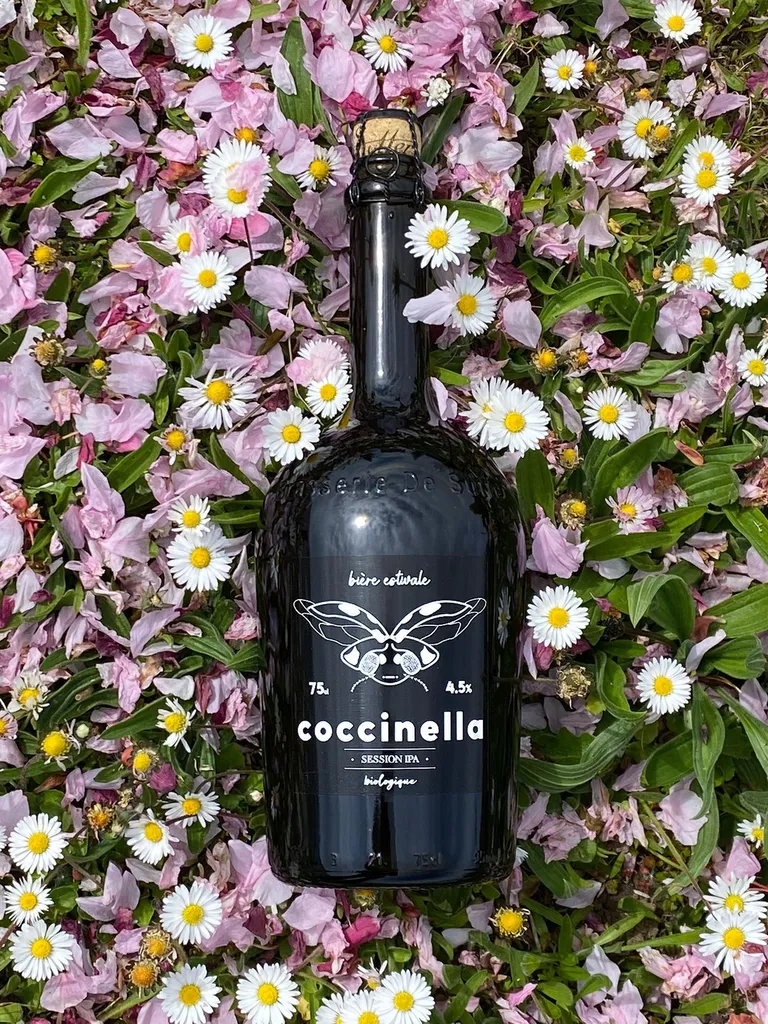 COCCINELLA