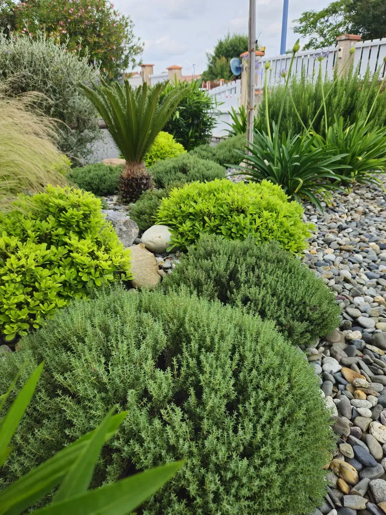 Paysagiste professionnel pour la création et l’aménagement de jardins à Toulouse