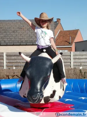 Location et animation rodeo mécanique pour enfant et adulte sur Lyon et Rohones Alpes Auvergne