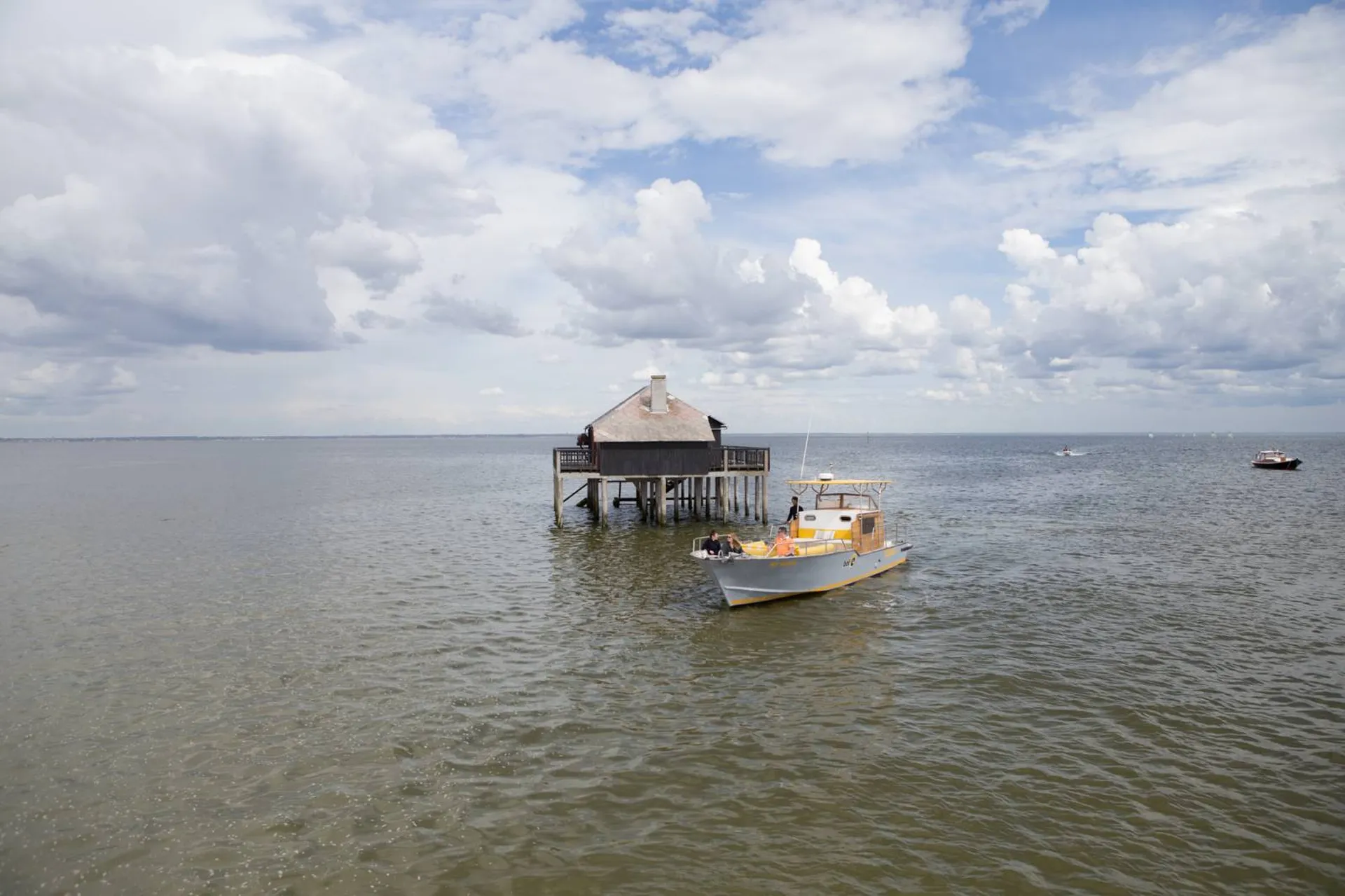 Découverte des abords de l'île aux oiseaux en bateau privé 