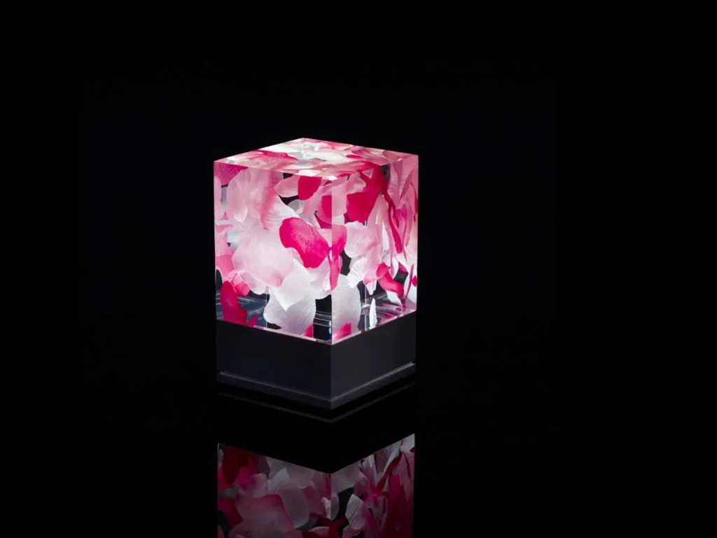 photo lampe design la D-cüb roses fond noir socle noir