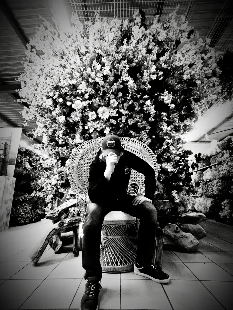 Dco.Verte : entreprise spécialisée dans la création de mur végétal, aménagement végétal et décorations de Noël à Lyon, Mâcon et Villefranche