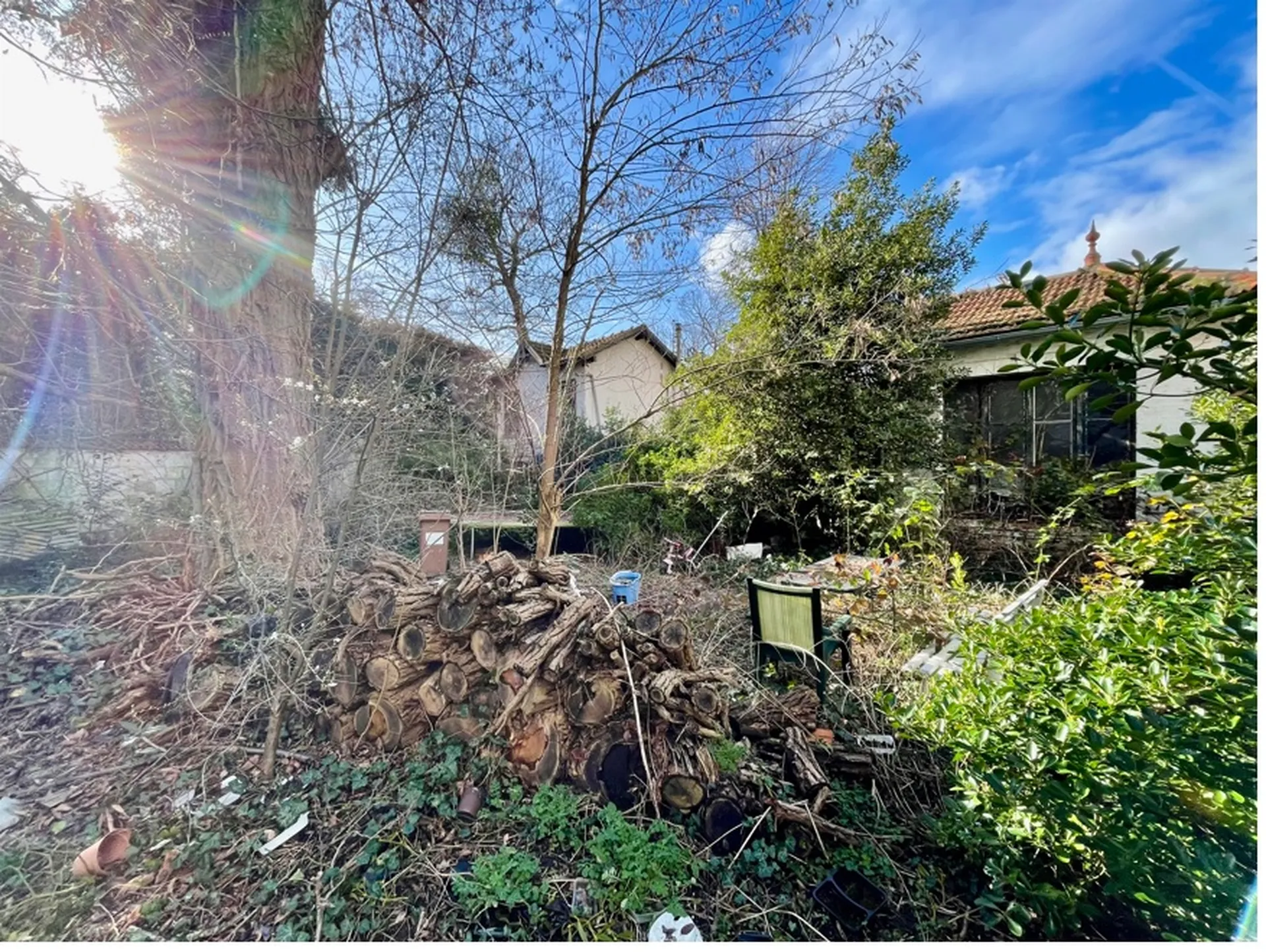 Jardin arboré maison avec dépendance avec travaux au Vésinet chez Helix immobilier Le Vésinet