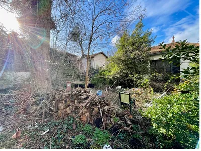 Jardin arboré maison avec dépendance avec travaux au Vésinet chez Helix immobilier Le Vésinet