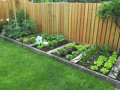 Installer un potager esthétique et fonctionnel : guide complet