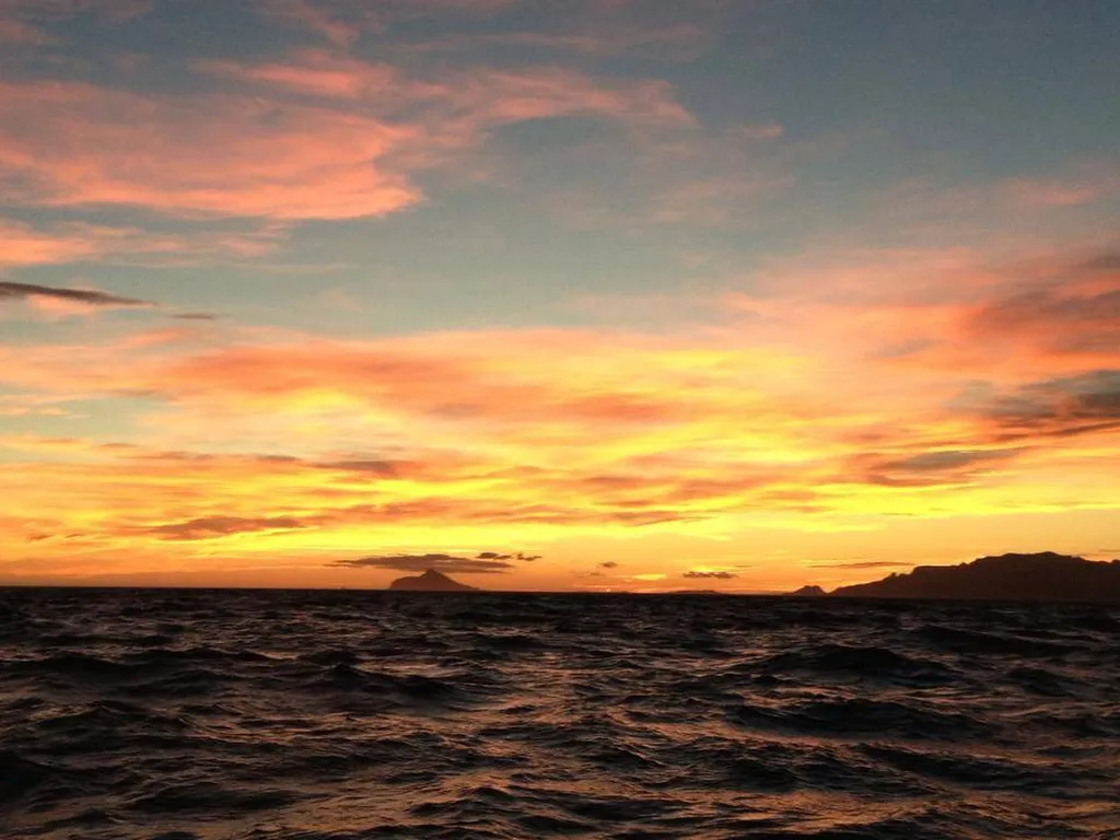 Eden Boat come back in march 2018