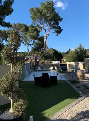 Élagage de pins à Saint-Chamas, 13250, dans les Alpilles, pour un entretien soigné et sécurisé, réalisé par les experts de Carré Vert