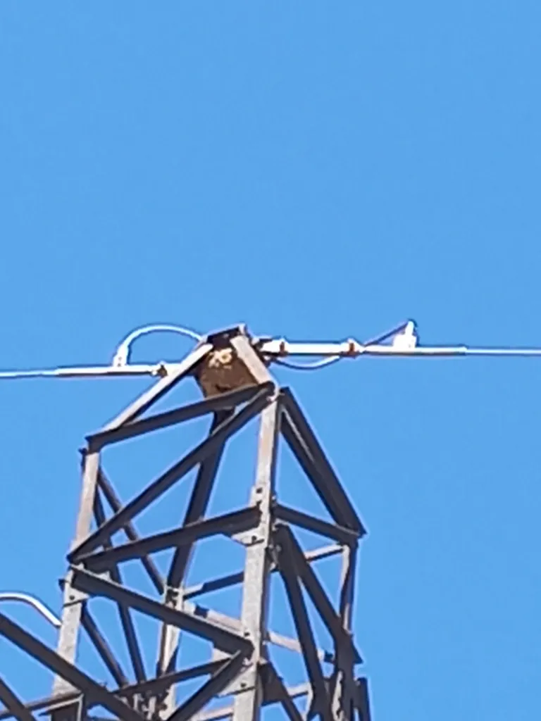 Énorme nid de frelons en haut d’une ligne haute tension dans le cimetière de Miramas (13)