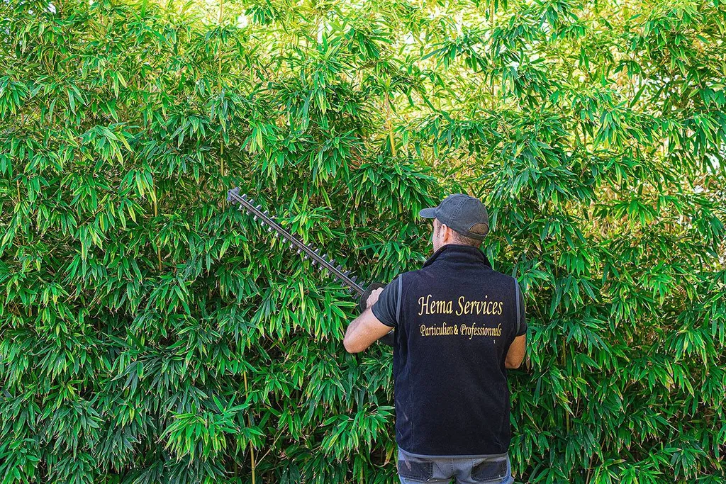 Service de taille de haie à Six-Fours-les-Plages avec évacuation et entretien de jardin professionnel