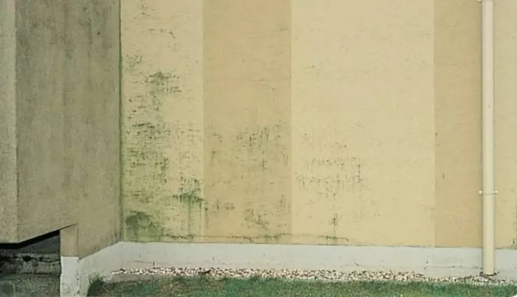 Les pathologies des façades
