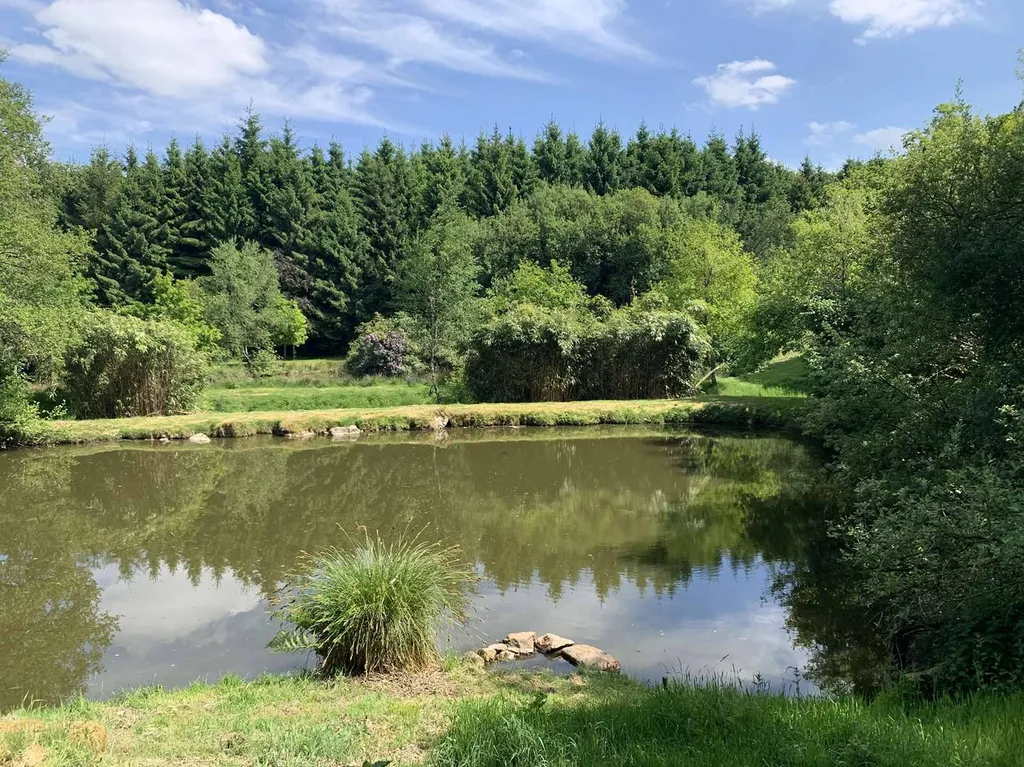 CALVADOS Région de VIRE (14500) propriété forestière de 18 ha 50 a avec des étangs