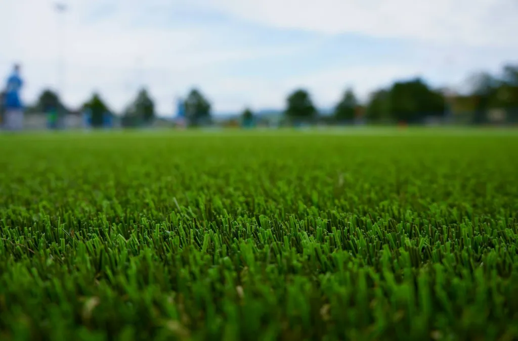 Poseur de gazon synthétique vers Saint Rémy de Provence