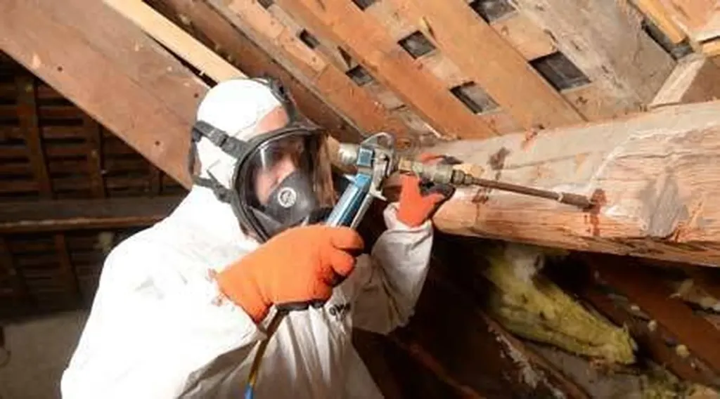 Traitement préventif du bois de charpente par pulvérisation lors d’une rénovation de maison à Saint-Georges-de-Reneins près de Belleville-en-Beaujolais (Rhône – 69)