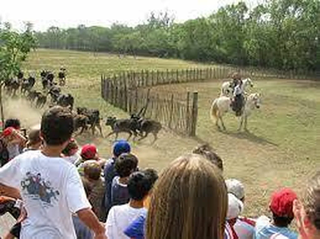 Manade Sauvan à 5 min du bord de mer de Vias Plage