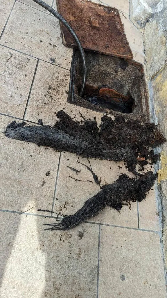Curage racines dans réseau eaux usées à Pertuis