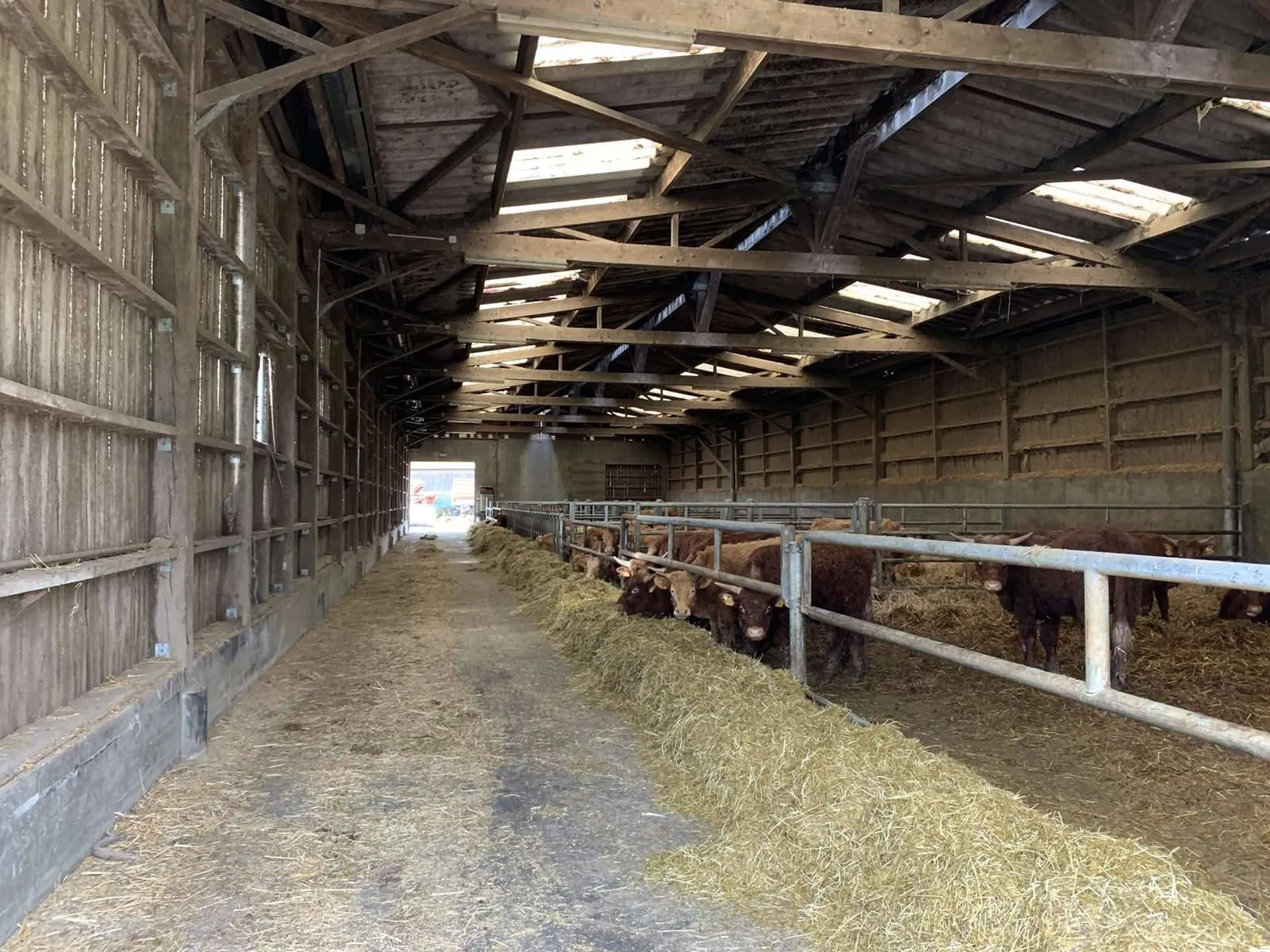 A acquérir Exploitation Agricole sur 167 hectares, dans la région de LIVAROT 14140