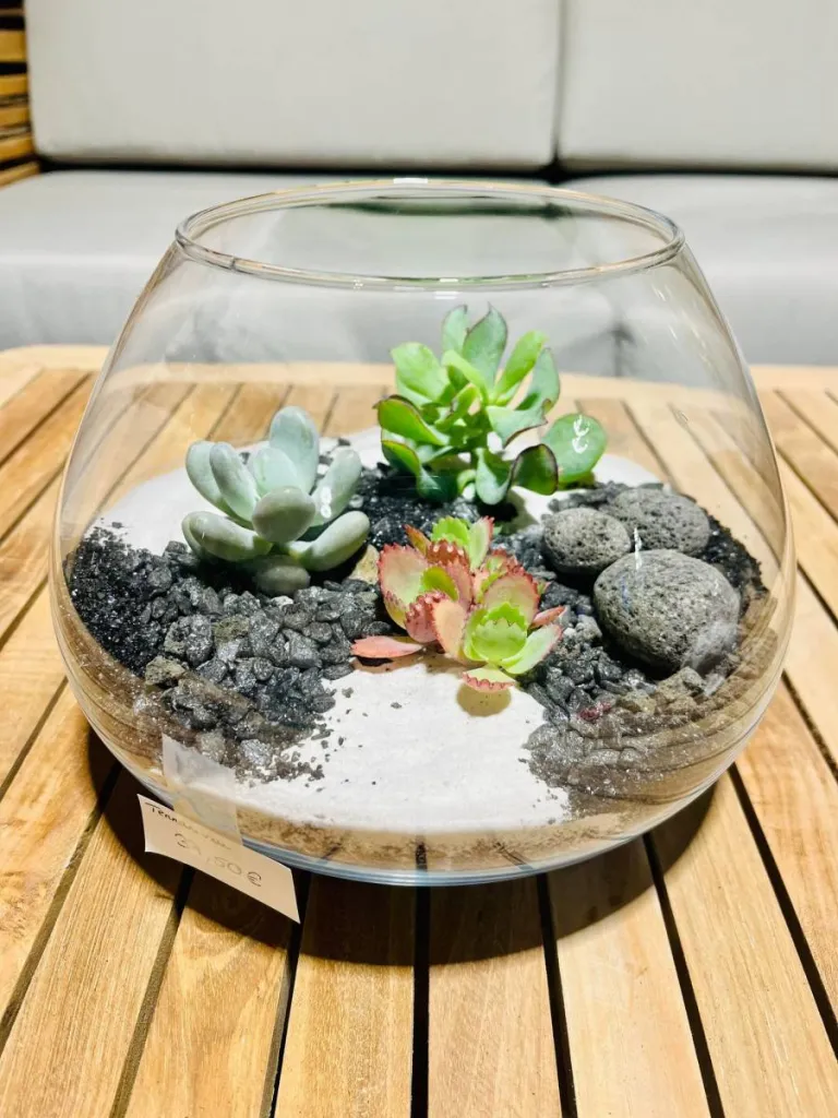 TERRARIUMS