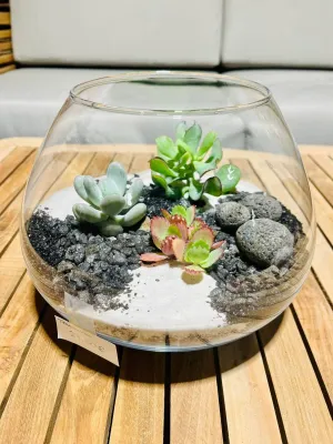 TERRARIUMS
