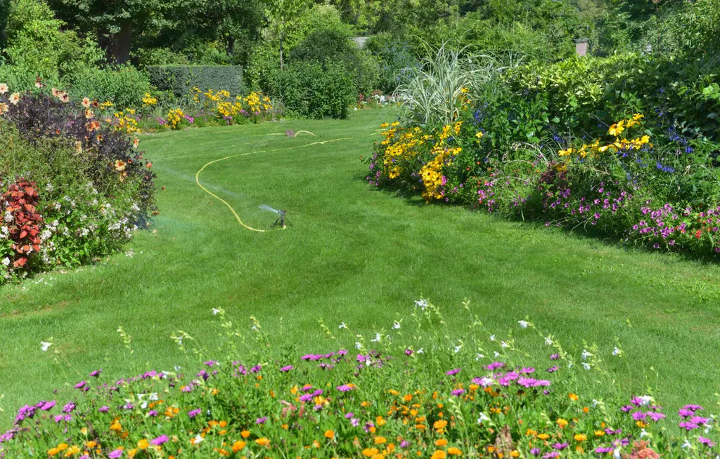 Traitement professionnel moustiques et moustiques tigres pour les jardins et extérieurs à L'Union et Aucamville 