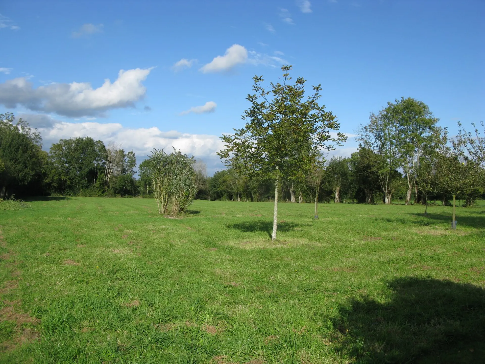 MANOIRS A VENDRE ENTRE ARGENTAN et LIVAROT