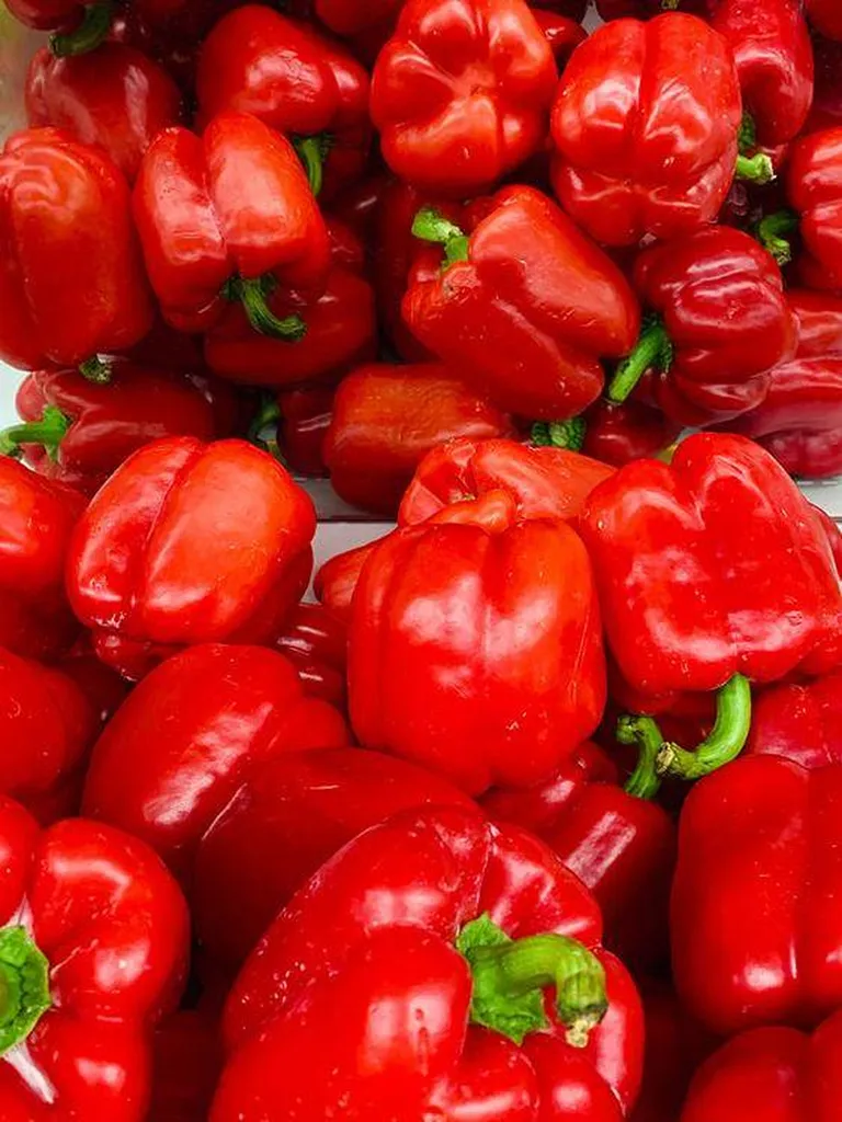 Notre zone d'activité pour ce serviceAcheter des fruits et légumes frais de producteur à Marseille 13007 Vauban