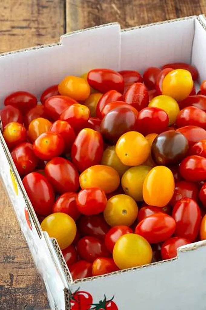 Tomates Cerises multi couleurs 500gr