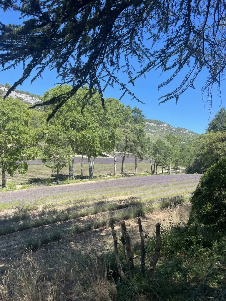 Réservez votre van ou minibus pour aller dans le Vaucluse et visitez Loumarin, Bonnieux, Menherbes et aller visiter le Colorado provençal.