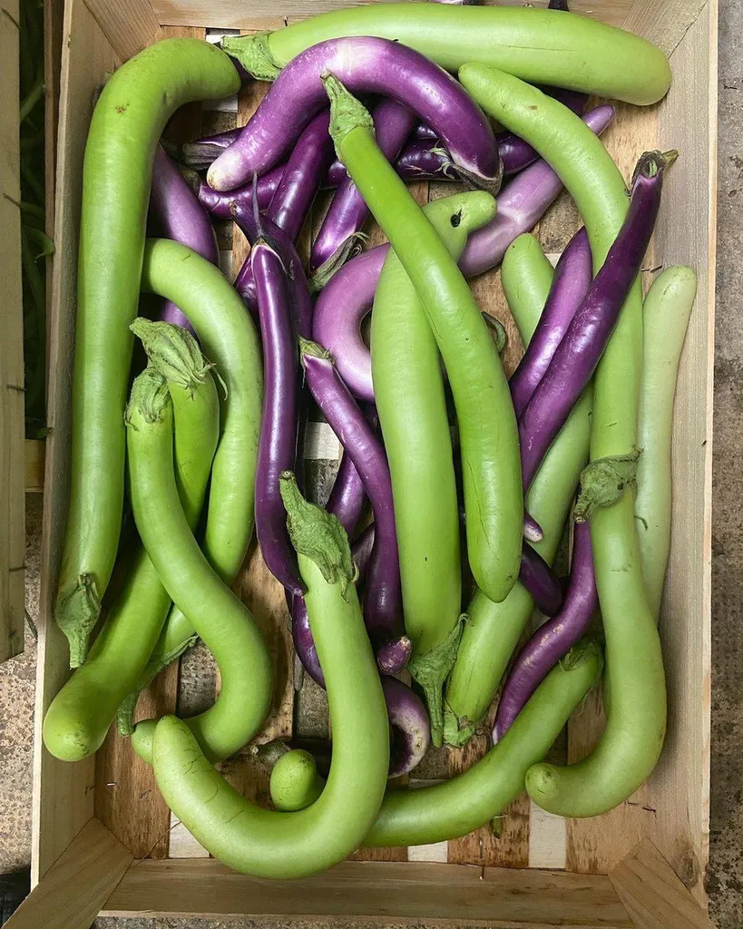 Aubergines Asiatiques 1 kg livraison en point relais à Marseille