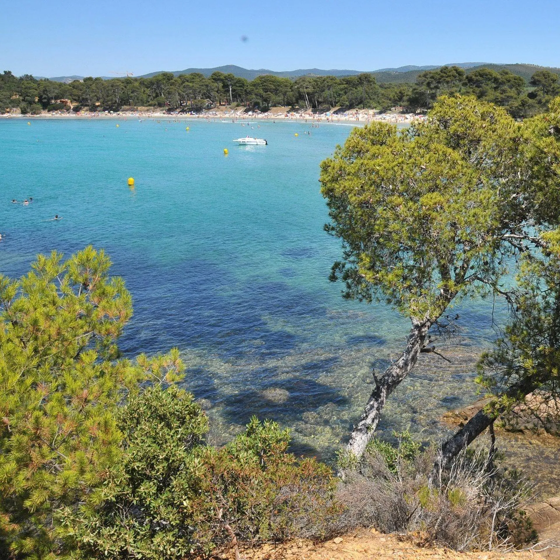 Nos plages élue depuis 2024, parmis les plus belles baies du monde. Hôtel De La Plage - HDLP de Bormes Les Mimosas (Var 83) proche du Lavandou et La Londe