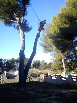Paysagiste Aix en Provence pour la taille des végétaux et élagage pour abattage d’un arbre Paysagiste Aix en Provence pour la taille des végétaux et élagage pour abattage d’un arbre